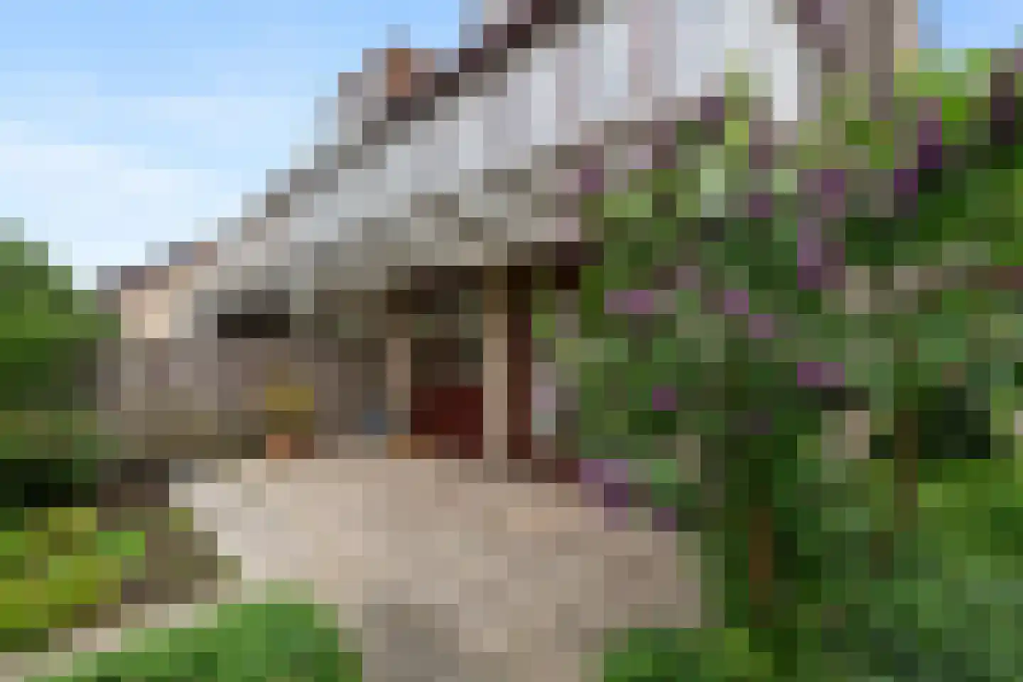 Europalaan 89 Nieuwerkerk aan den IJssel thumbnail 28