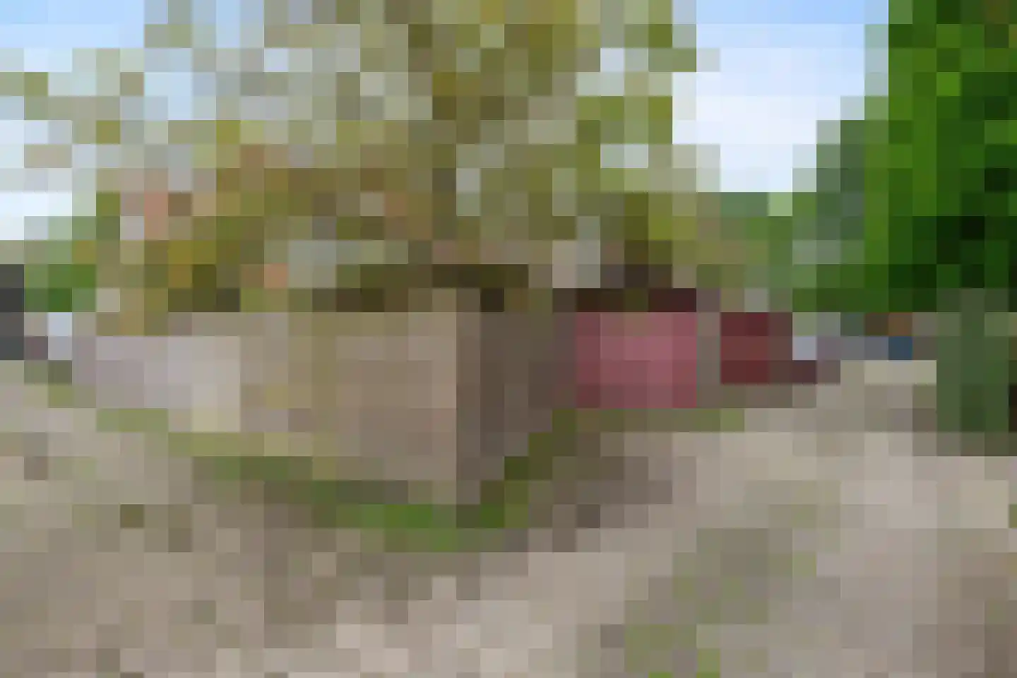 Europalaan 89 Nieuwerkerk aan den IJssel thumbnail 34