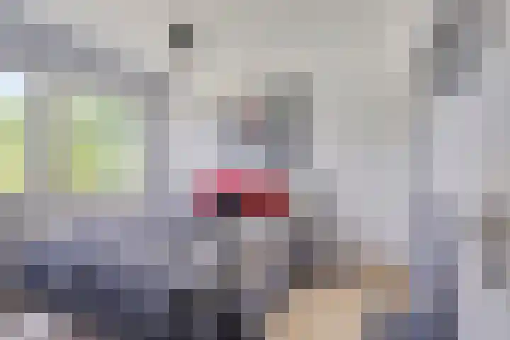 Europalaan 9 Heerlen thumbnail 17