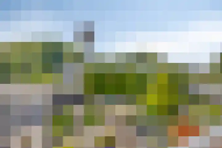 Europalaan 9 Heerlen thumbnail 31