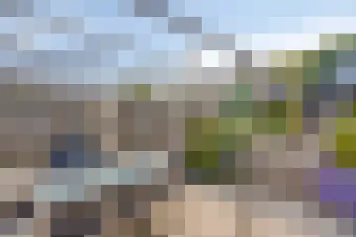 Europalaan 9 Heerlen thumbnail 35