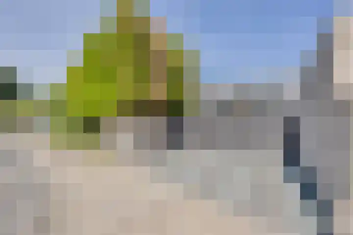 Europalaan 9 Heerlen thumbnail 39