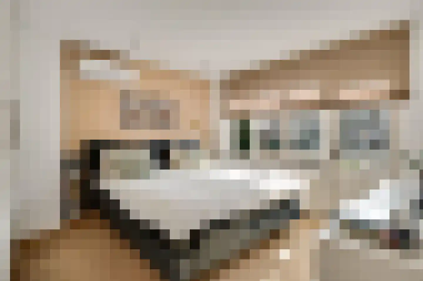 Europalaan 9 Maastricht thumbnail 12