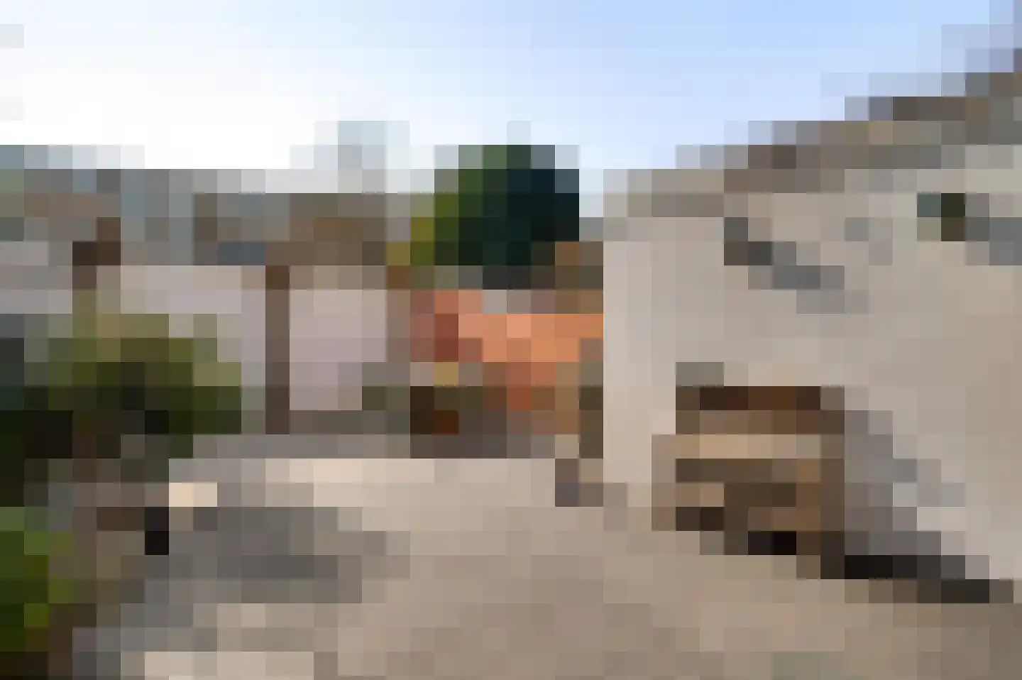 Europalaan 9 Maastricht thumbnail 4