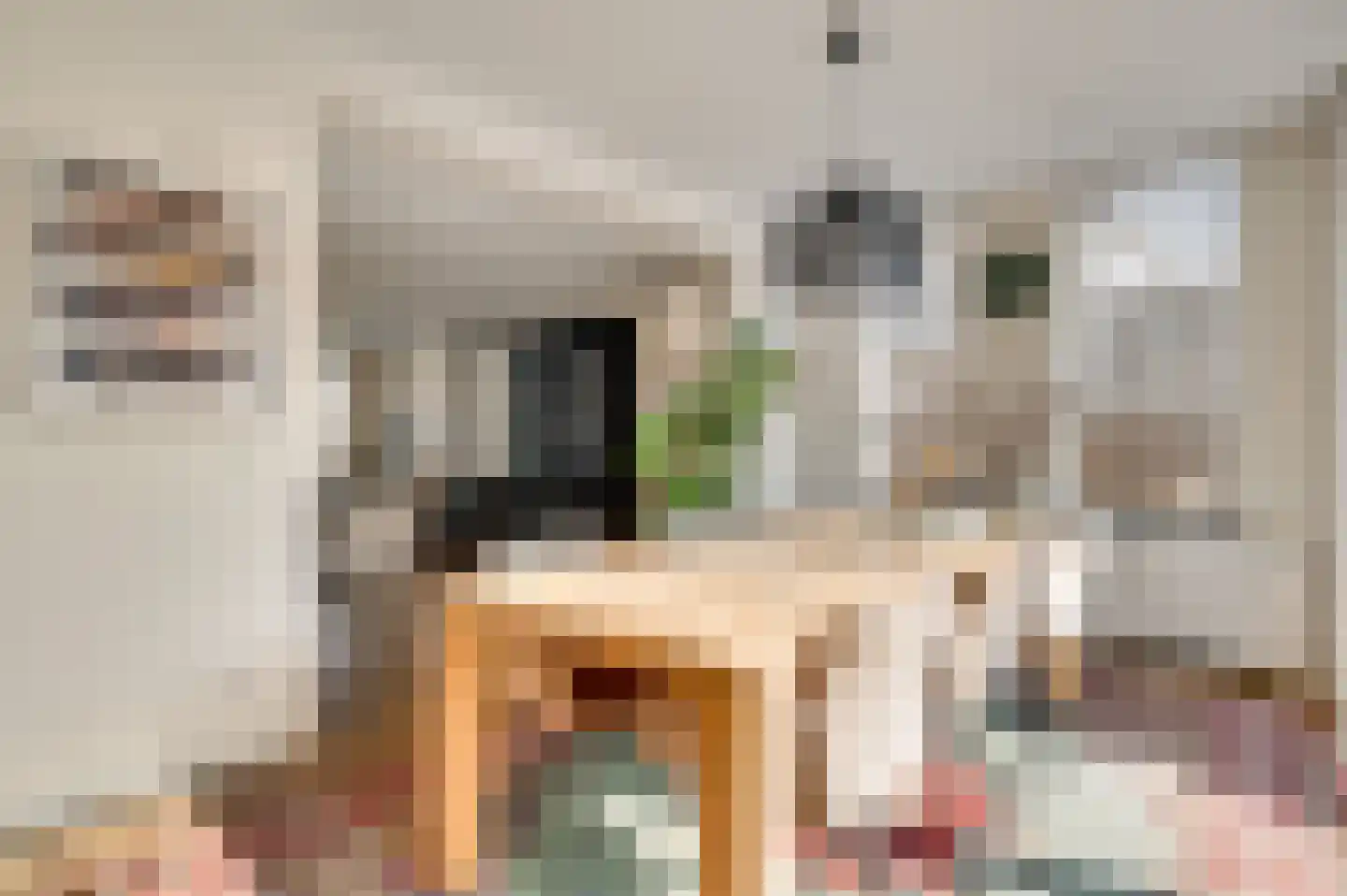 Europalaan 9 Maastricht thumbnail 9