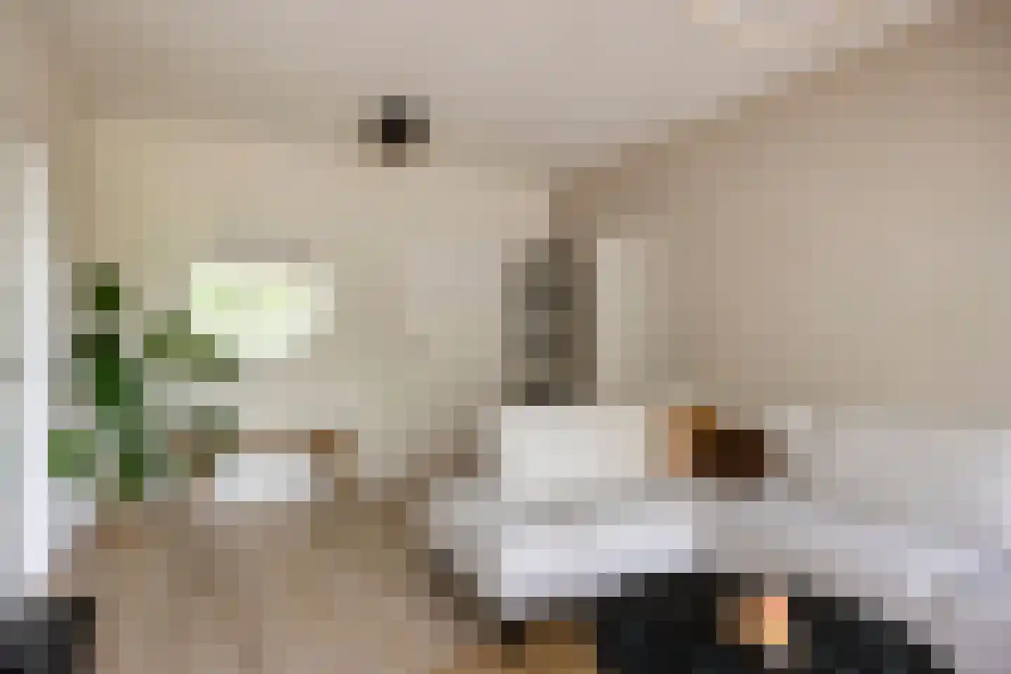 Europalaan 90 Eindhoven thumbnail 15