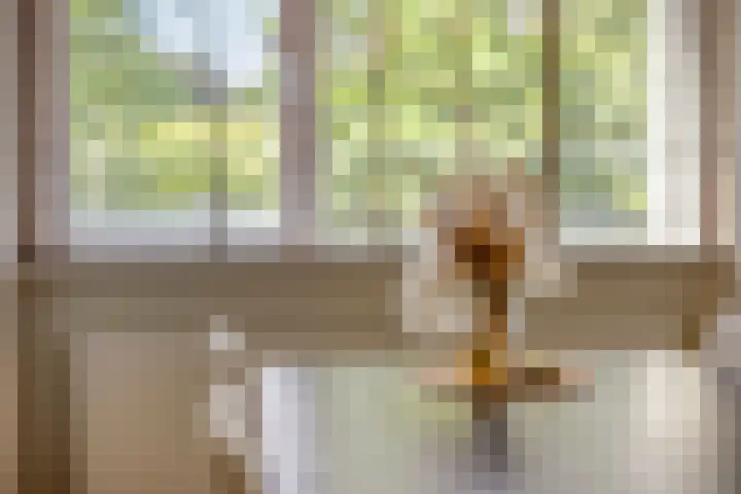 Europalaan 90 Eindhoven thumbnail 19