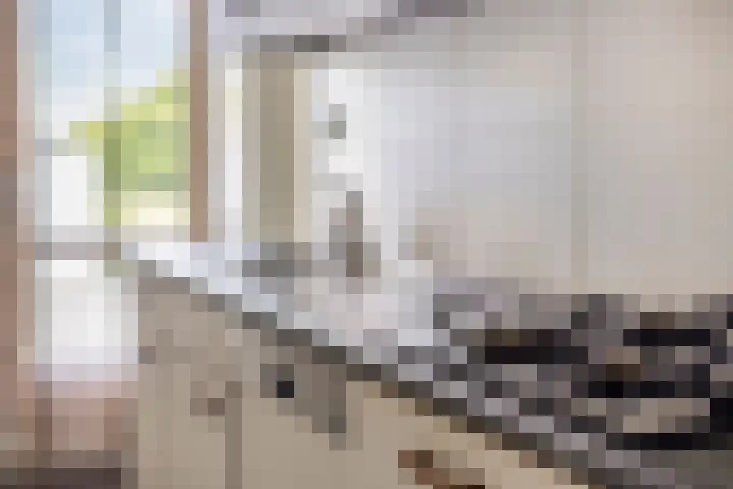 Europalaan 90 Eindhoven thumbnail 23