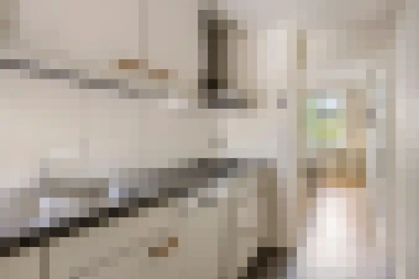 Europalaan 90 Eindhoven thumbnail 27
