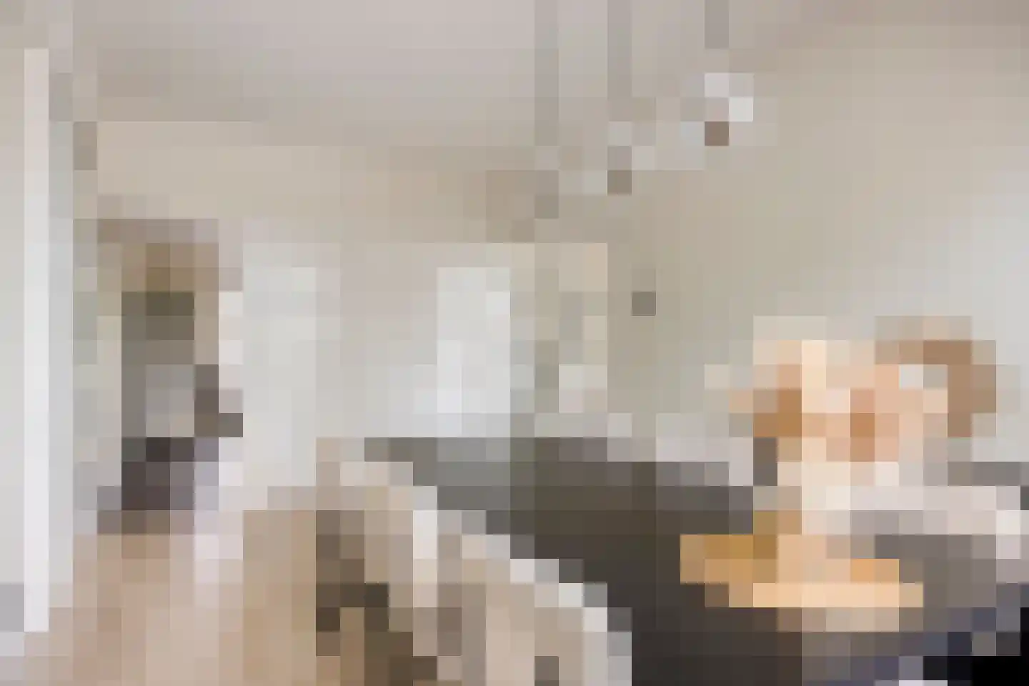 Europalaan 90 Eindhoven thumbnail 4