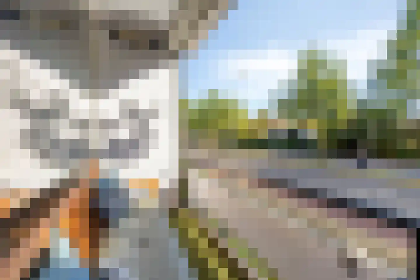 Europalaan 92 Eindhoven thumbnail 18