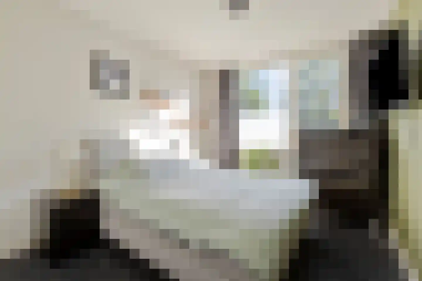 Europalaan 92 Eindhoven thumbnail 21