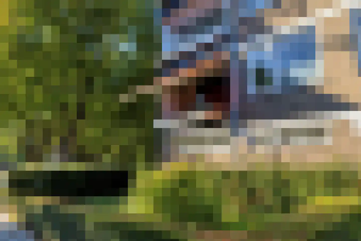 Europalaan 92 Eindhoven thumbnail 29