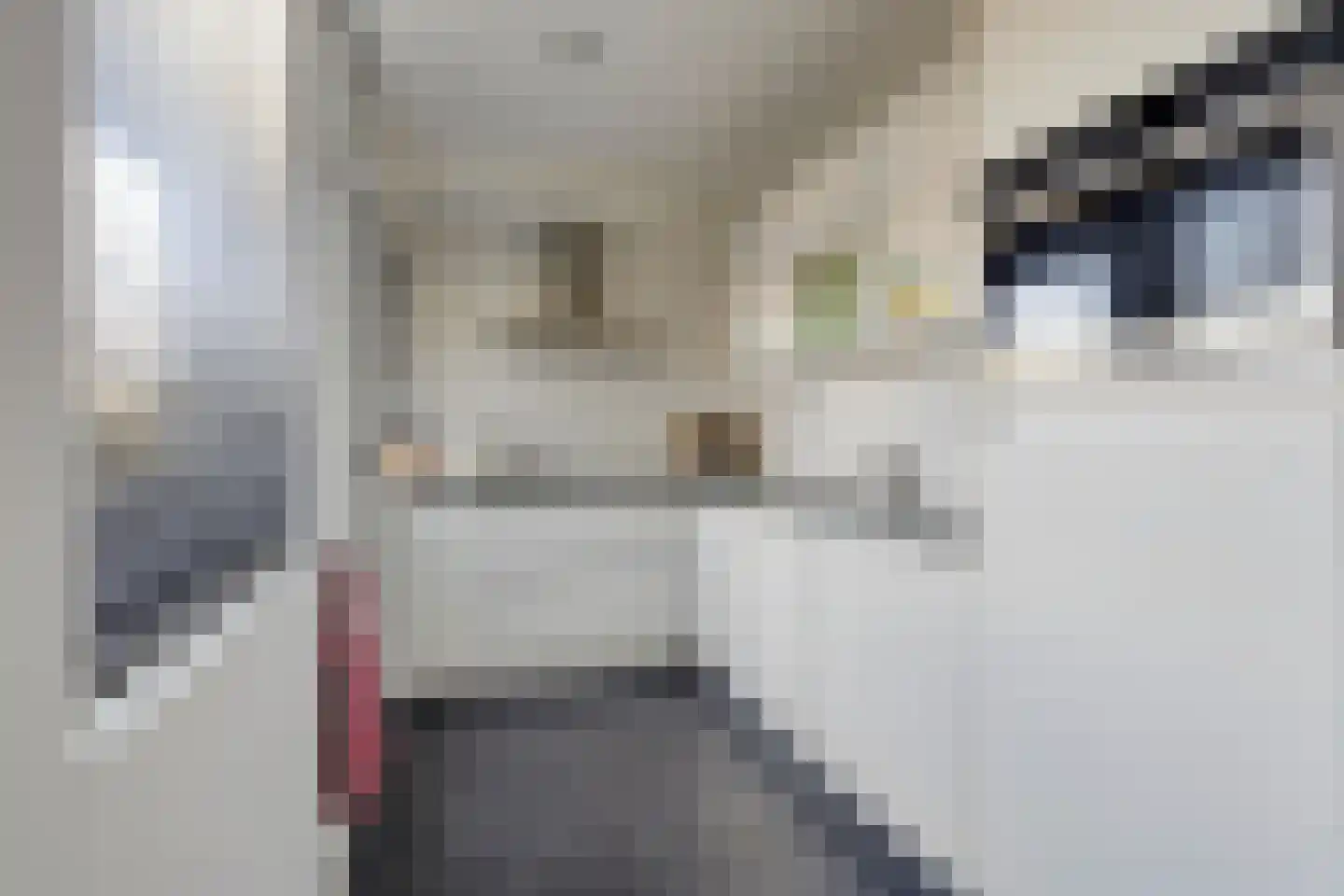 Europalaan 92 Eindhoven thumbnail 4