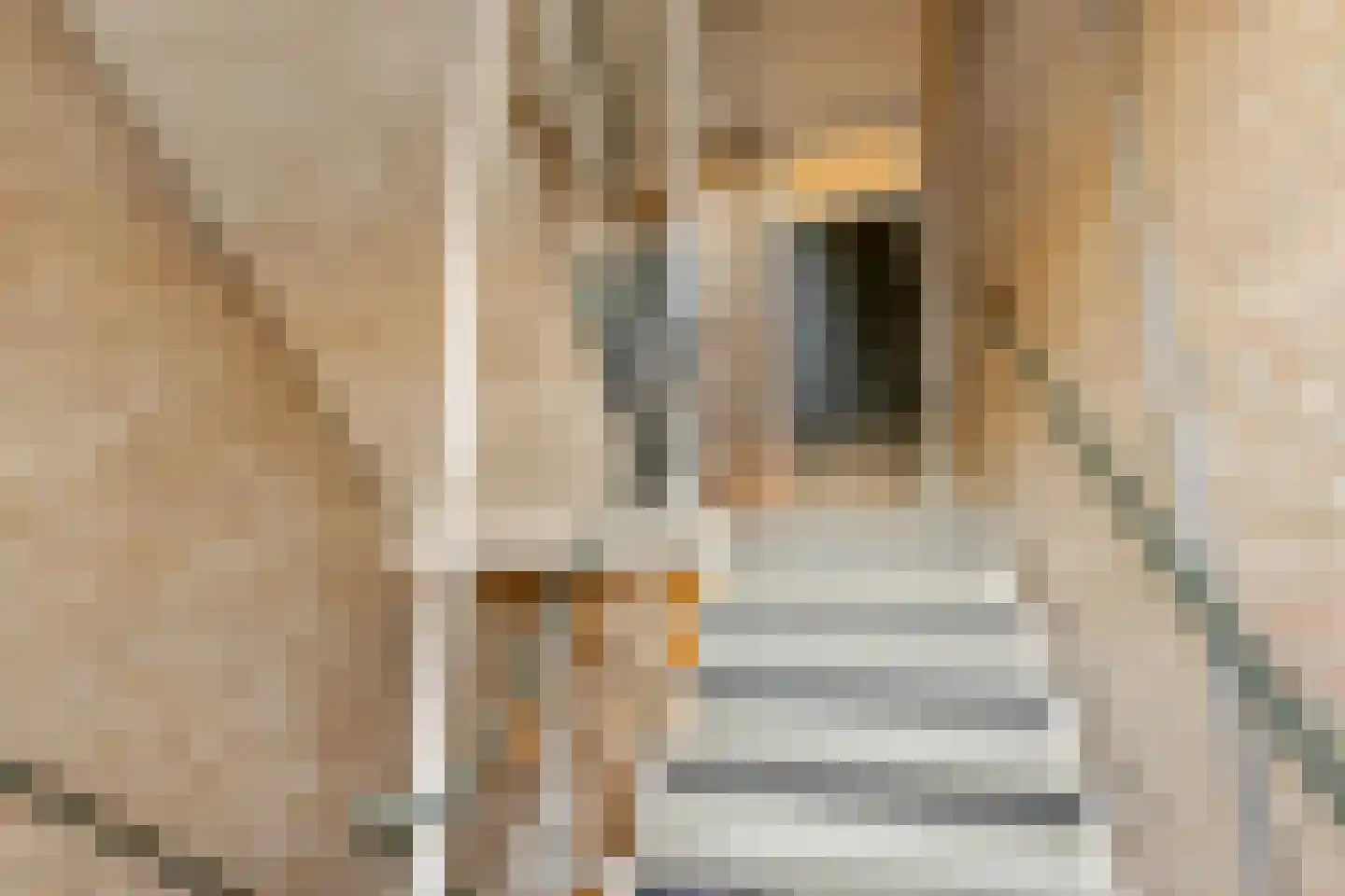 Europalaan 92 Eindhoven thumbnail 9