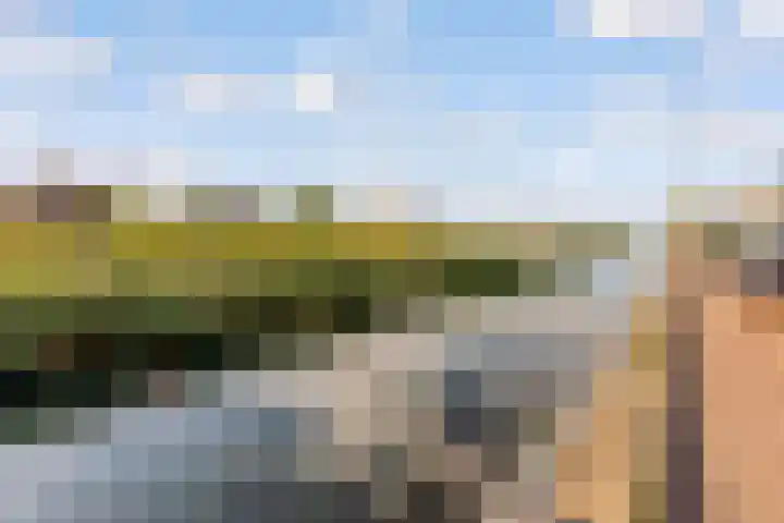 Europalaan 942 Almere thumbnail 43