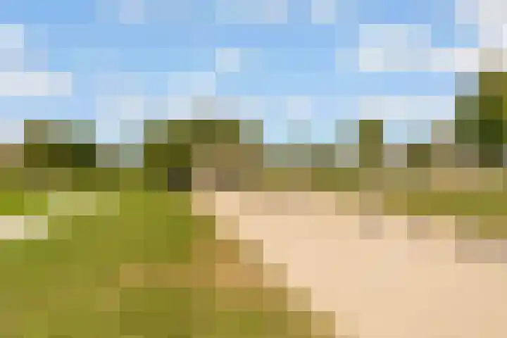 Europalaan 942 Almere thumbnail 47