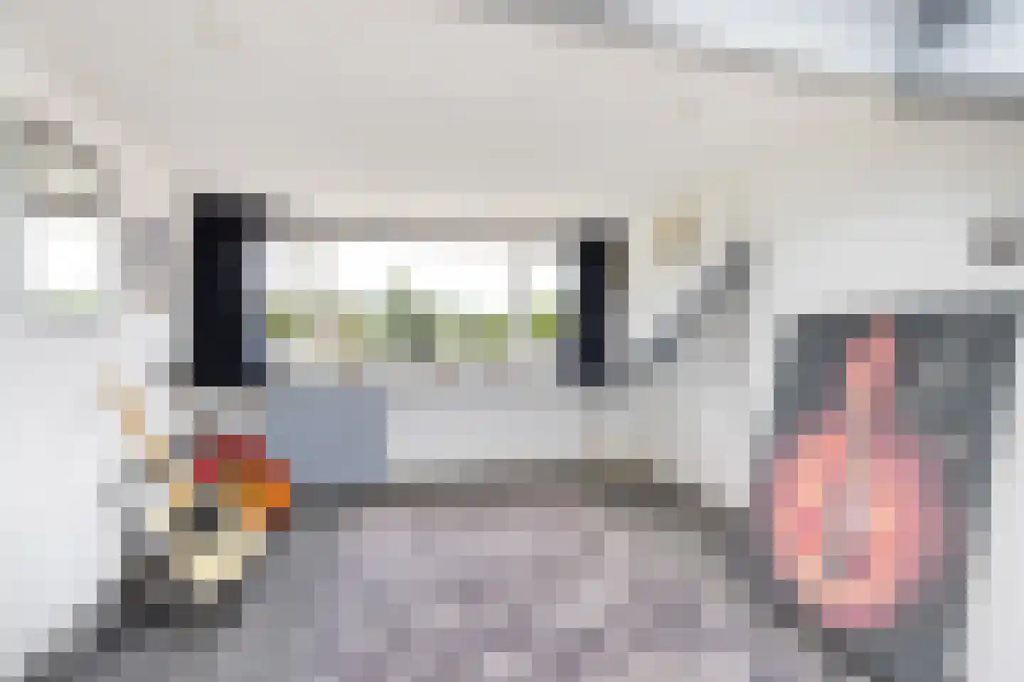 Europalaan 96 Nieuwerkerk aan den IJssel thumbnail 29