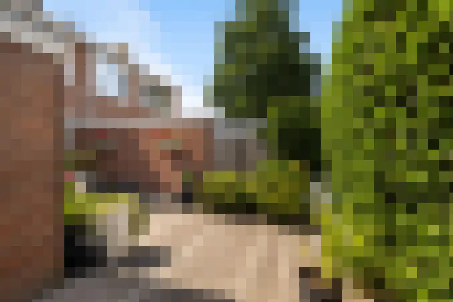 Europalaan 96 Nieuwerkerk aan den IJssel thumbnail 34