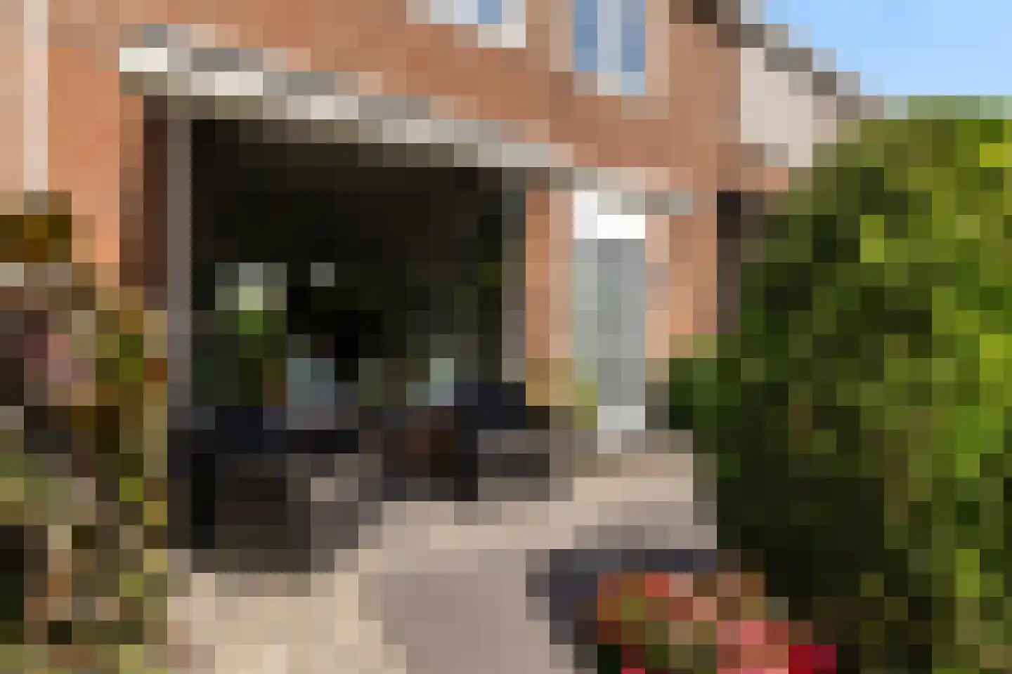 Europalaan 96 Nieuwerkerk aan den IJssel thumbnail 8
