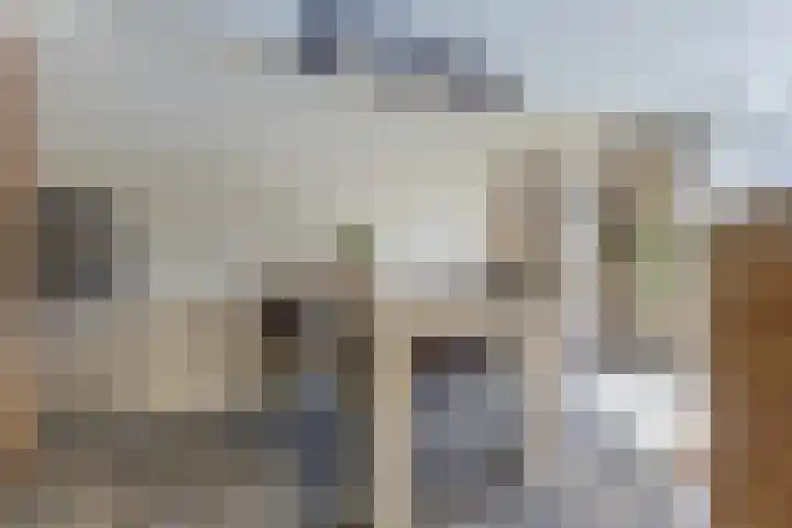 Europalaan 97 Renkum thumbnail 12