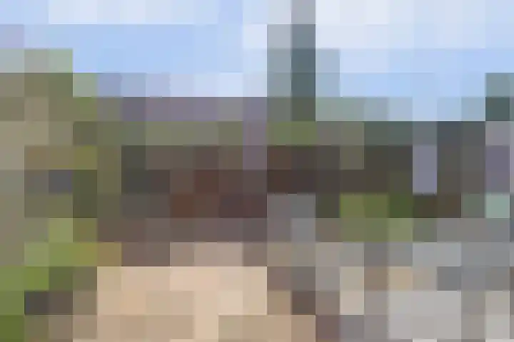 Europalaan 97 Renkum thumbnail 32