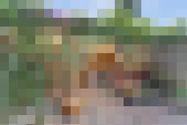 Europalaan 97 Renkum thumbnail 34