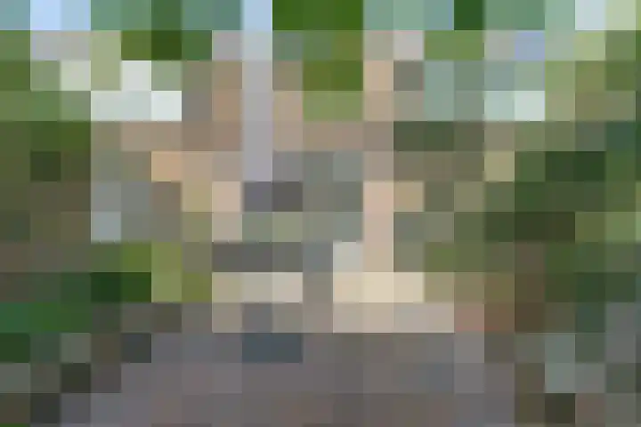 Europalaan 97 Renkum thumbnail 38