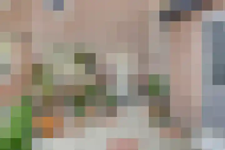 Europalaan 97 Renkum thumbnail 4
