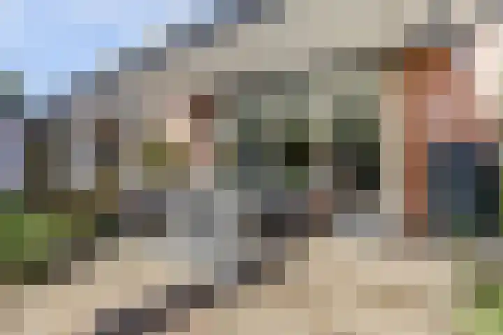 Europalaan 97 Renkum thumbnail 41