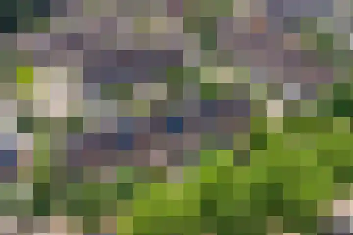 Europalaan 97 Renkum thumbnail 43