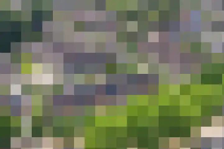 Europalaan 97 Renkum thumbnail 44