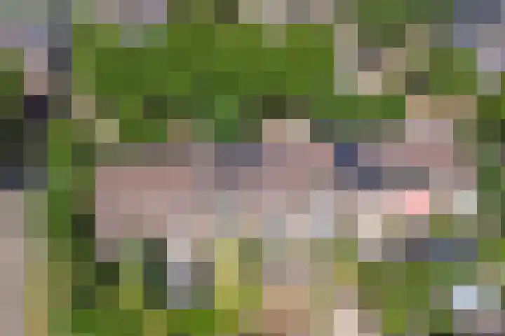 Europalaan 97 Renkum thumbnail 45