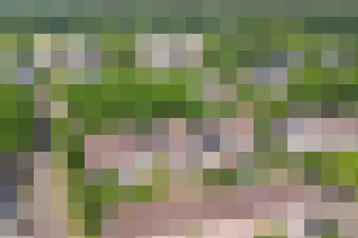 Europalaan 97 Renkum thumbnail 46