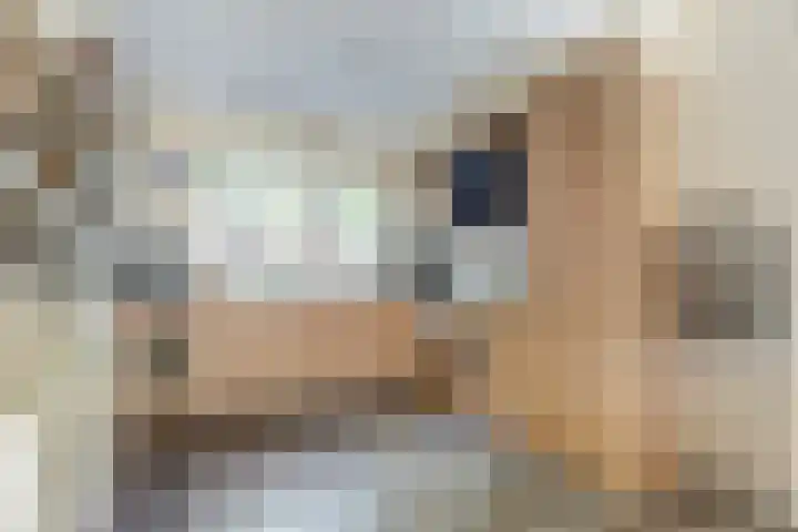 Europalaan 97 Renkum thumbnail 7