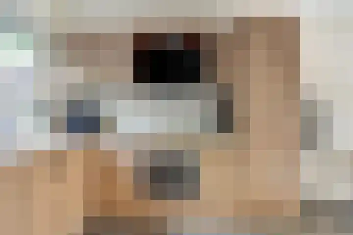Europalaan 97 Renkum thumbnail 8