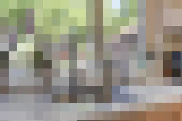 Europalaan 97 Renkum thumbnail 9