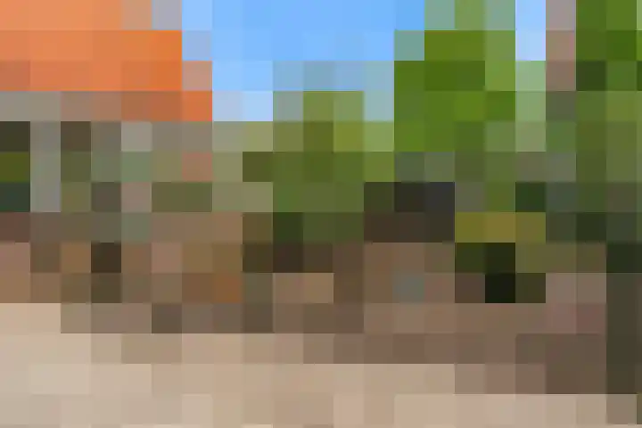 Europalaan 98 Renkum thumbnail 101