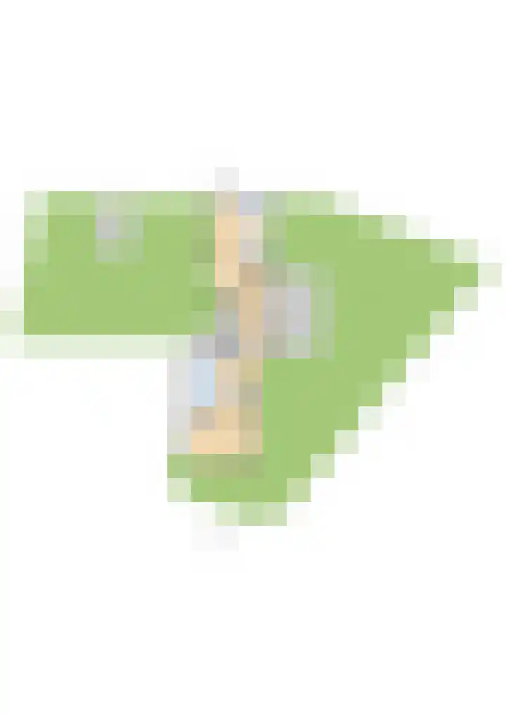 Europalaan 98 Renkum thumbnail 106