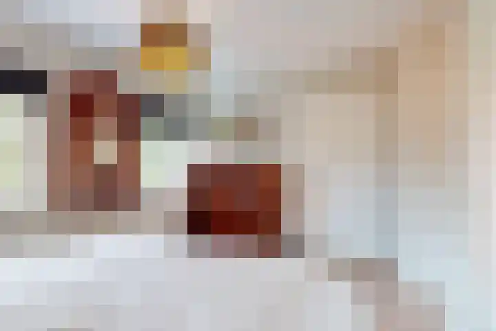Europalaan 98 Renkum thumbnail 30
