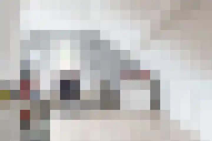 Europalaan 98 Renkum thumbnail 47