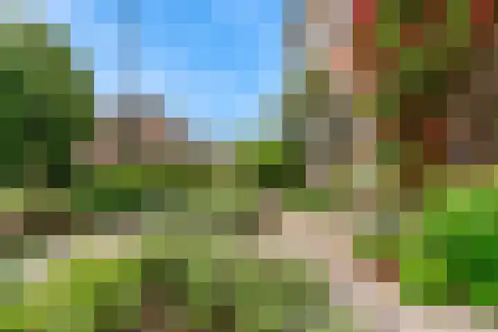 Europalaan 98 Renkum thumbnail 56