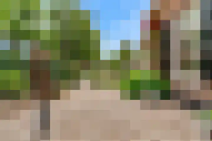 Europalaan 98 Renkum thumbnail 57