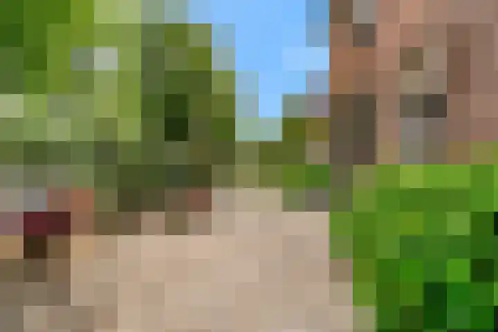 Europalaan 98 Renkum thumbnail 58
