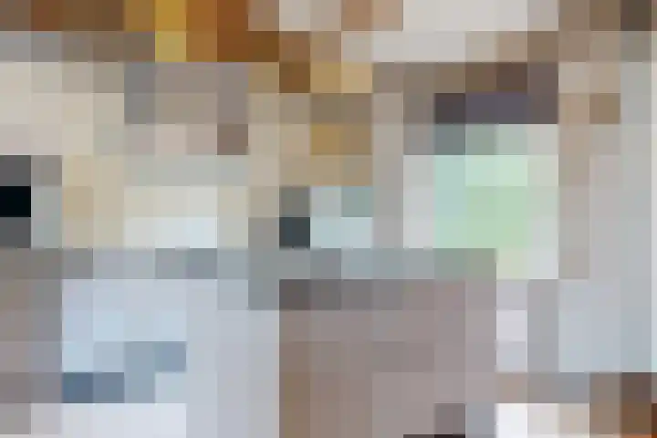 Europalaan 98 Renkum thumbnail 67