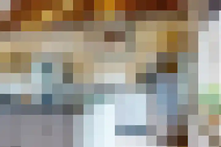 Europalaan 98 Renkum thumbnail 68