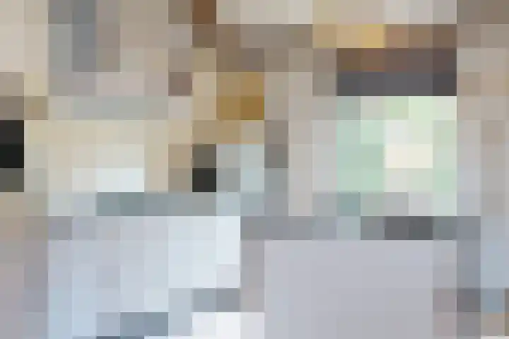 Europalaan 98 Renkum thumbnail 73