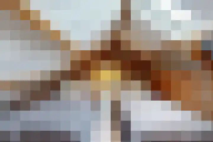 Europalaan 98 Renkum thumbnail 77