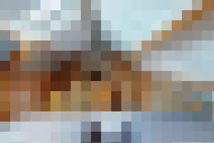 Europalaan 98 Renkum thumbnail 78