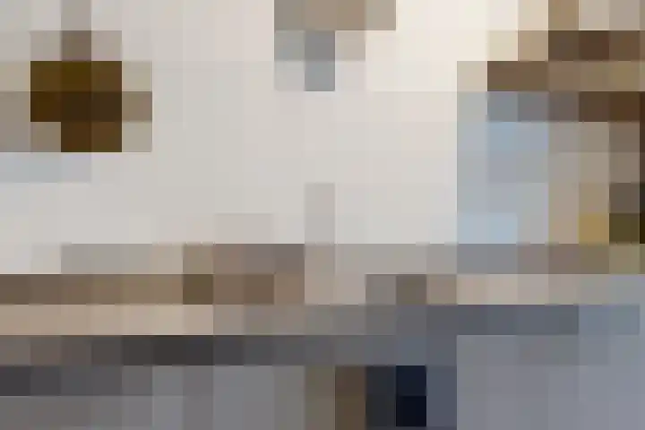Europalaan 98 Renkum thumbnail 8